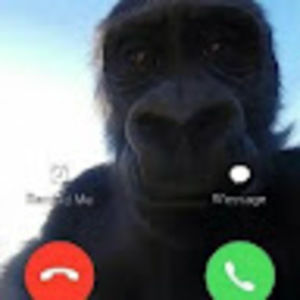 Meet your Posher, Jayce